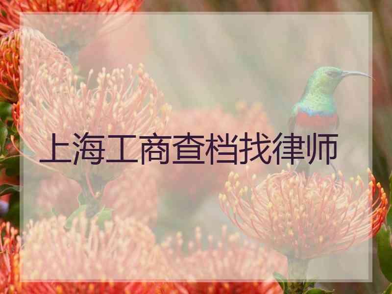 上海工商查档找律师