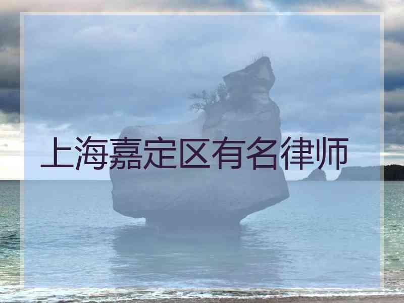 上海嘉定区有名律师