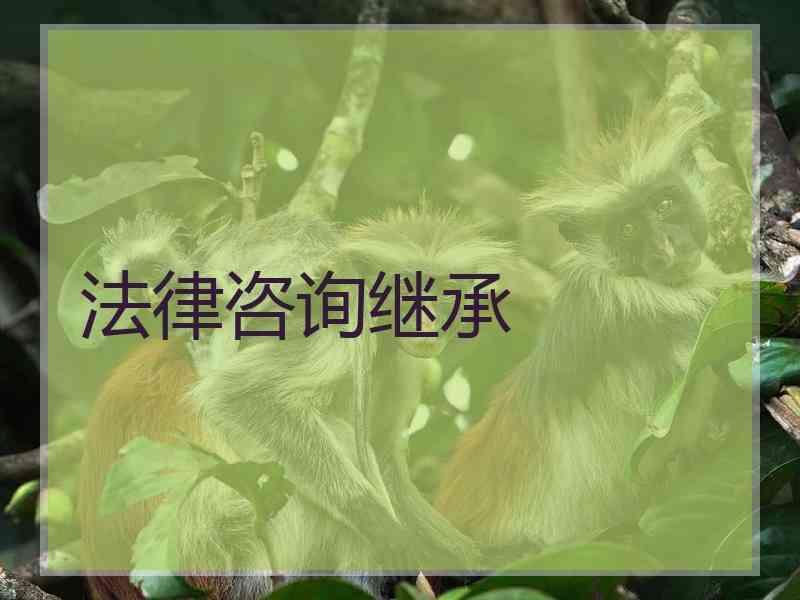 法律咨询继承