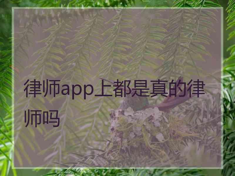 律师app上都是真的律师吗