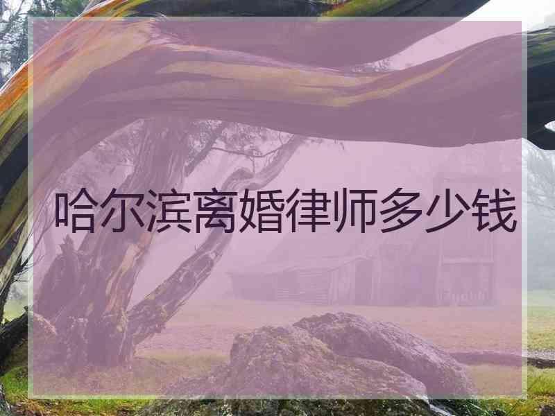 哈尔滨离婚律师多少钱