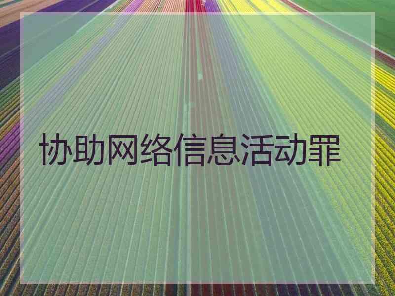 协助网络信息活动罪