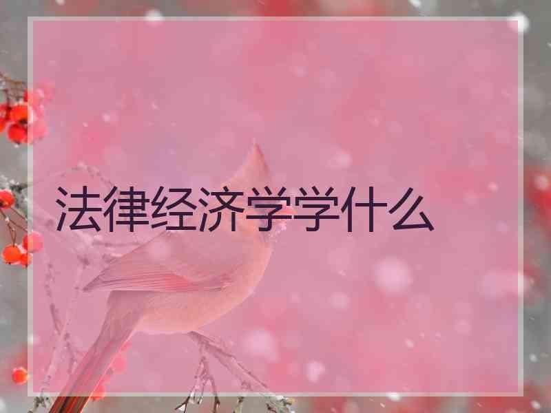 法律经济学学什么