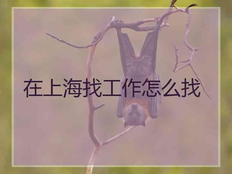 在上海找工作怎么找