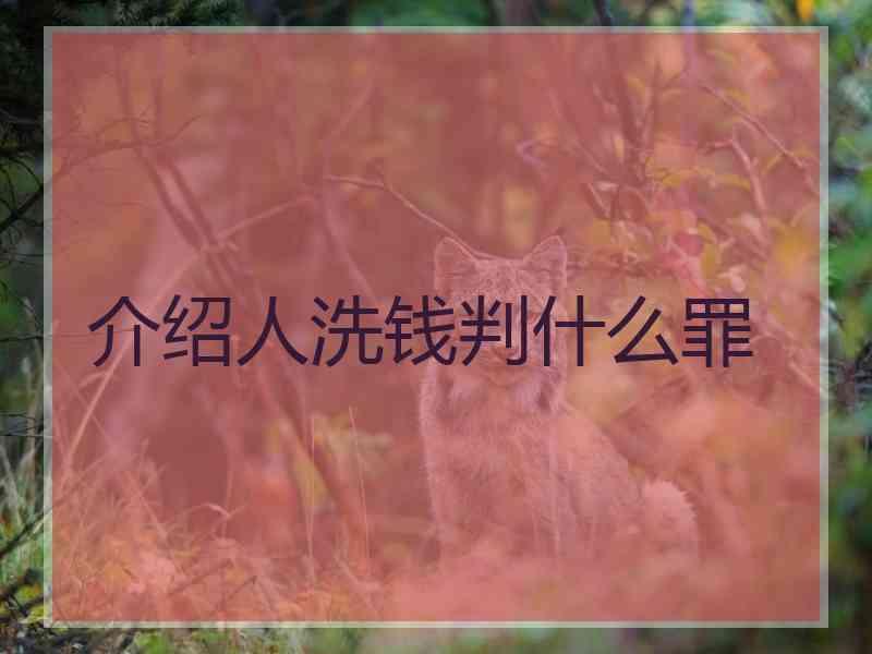 介绍人洗钱判什么罪