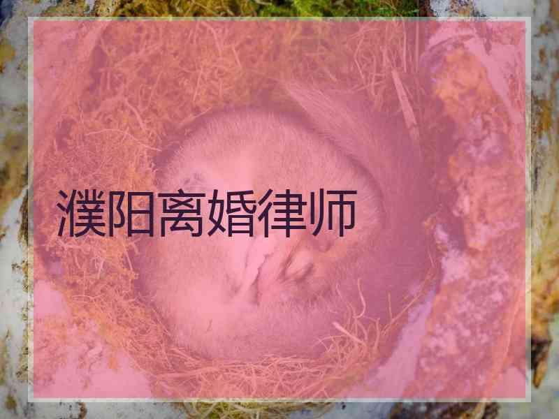 濮阳离婚律师