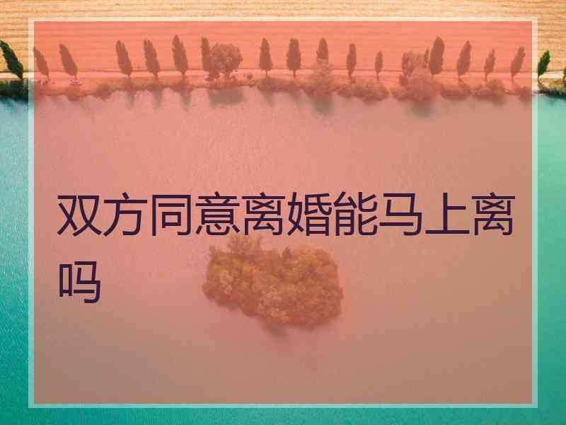 双方同意离婚能马上离吗