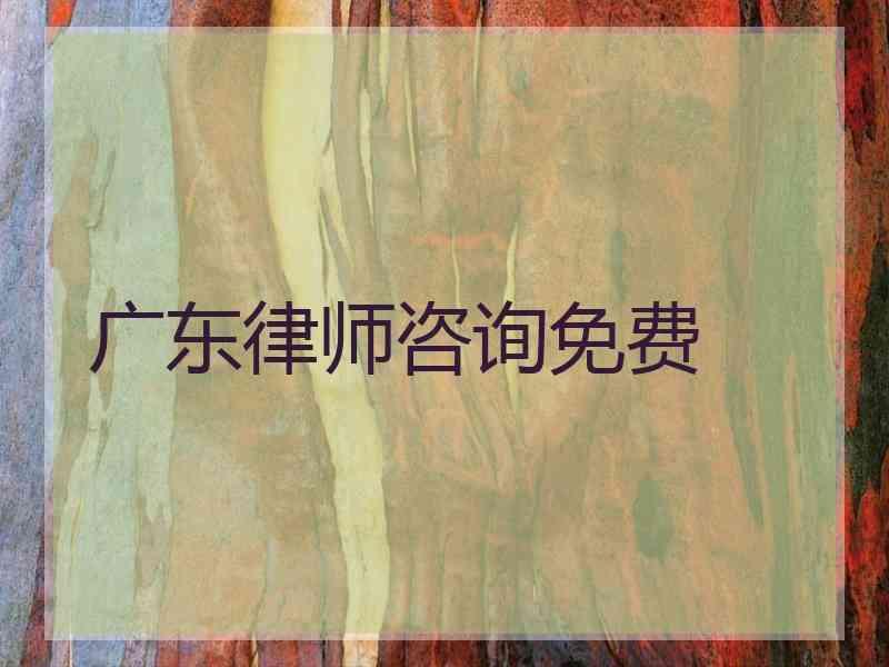 广东律师咨询免费