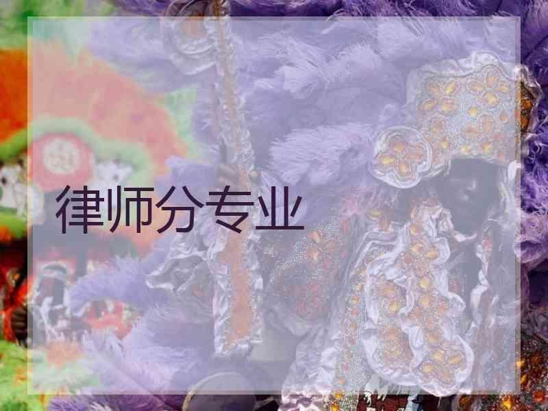 律师分专业