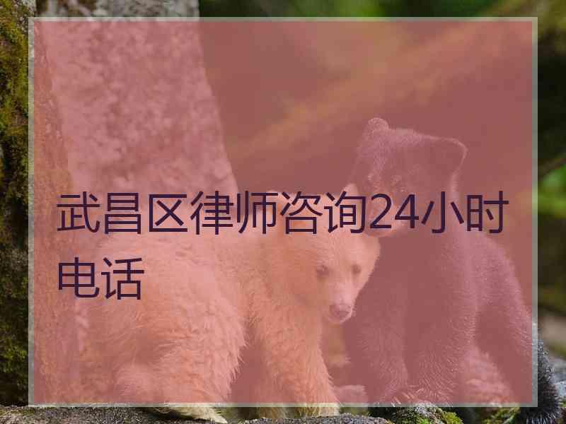 武昌区律师咨询24小时电话