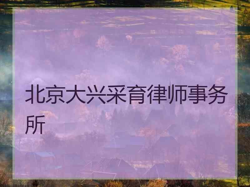 北京大兴采育律师事务所