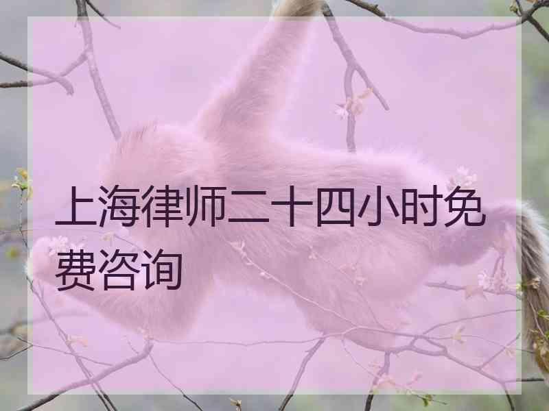 上海律师二十四小时免费咨询