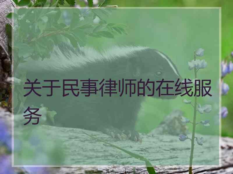 关于民事律师的在线服务