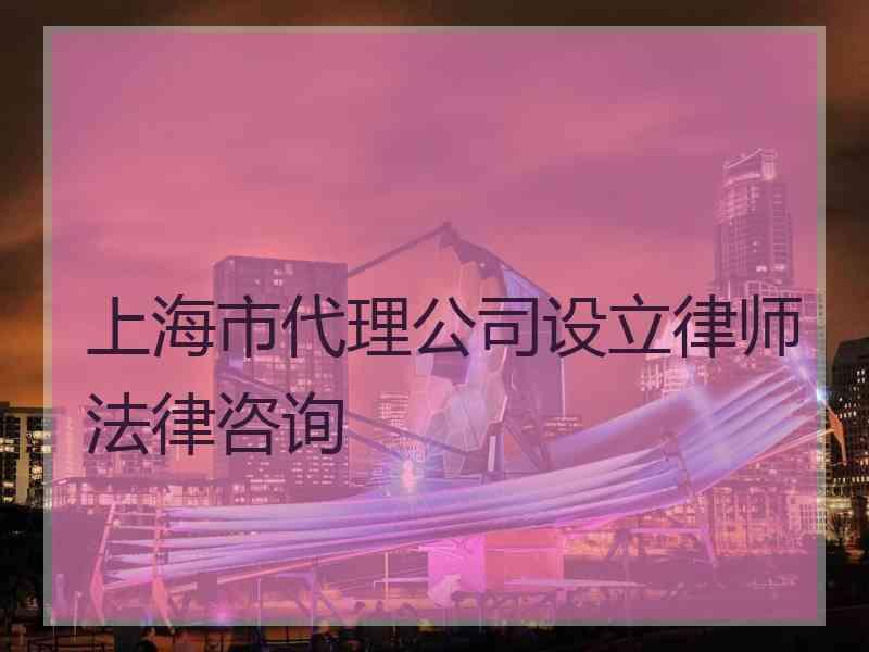 上海市代理公司设立律师法律咨询