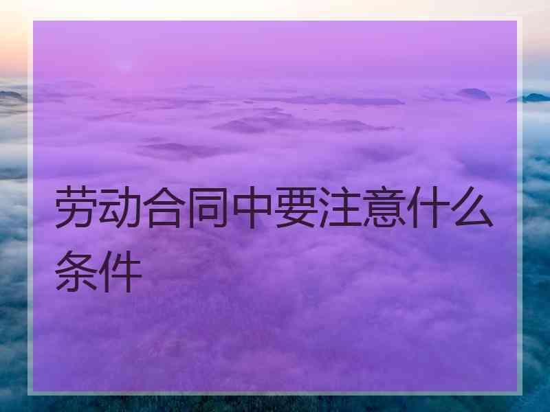 劳动合同中要注意什么条件