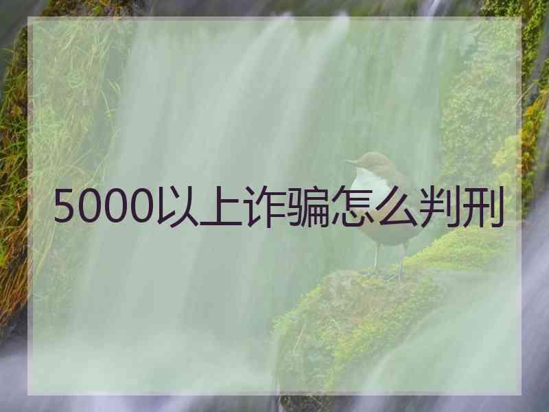 5000以上诈骗怎么判刑