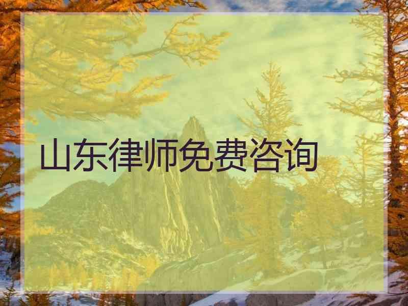 山东律师免费咨询