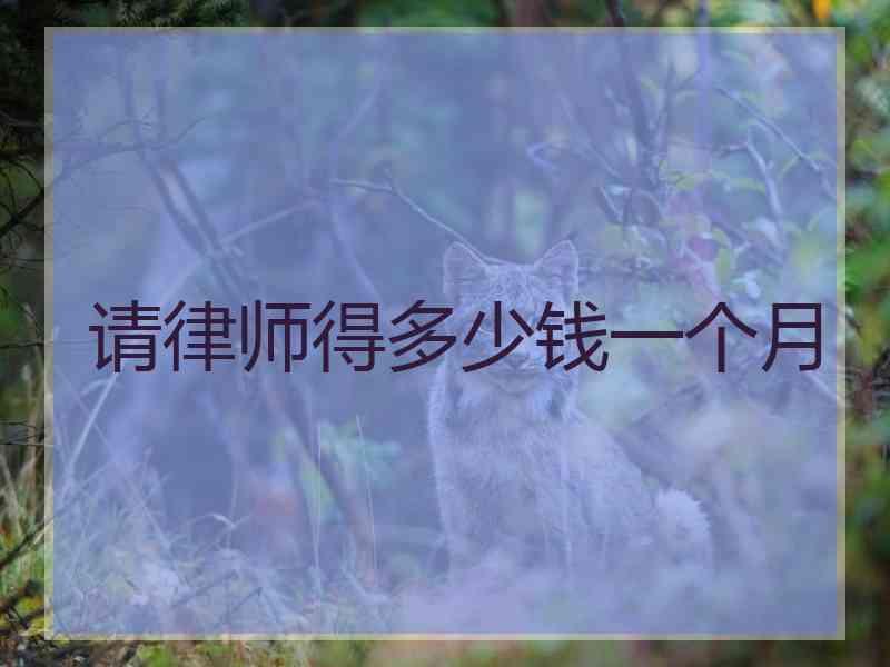 请律师得多少钱一个月