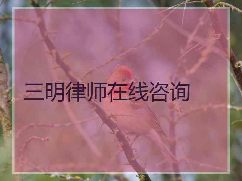 三明律师在线咨询