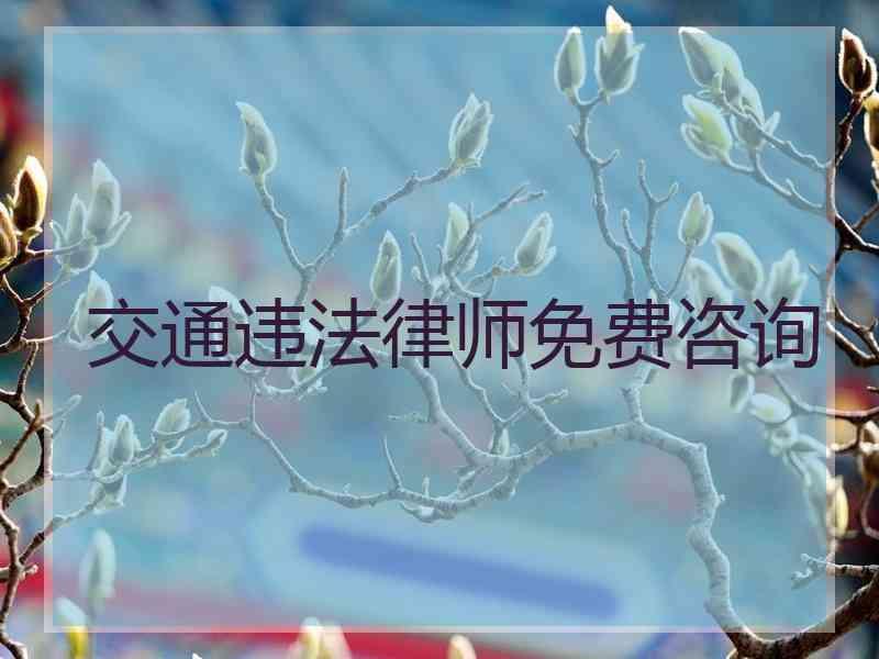 交通违法律师免费咨询