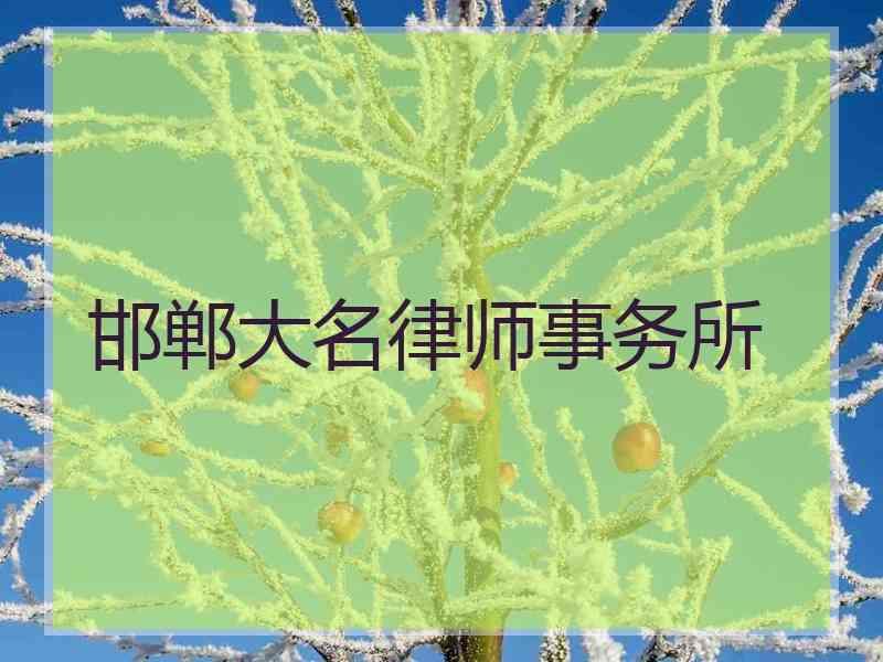 邯郸大名律师事务所
