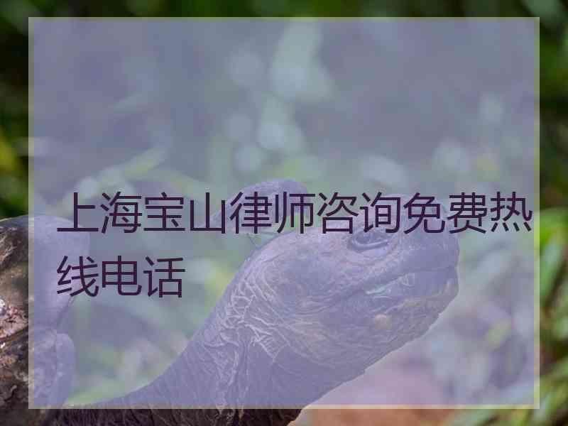 上海宝山律师咨询免费热线电话