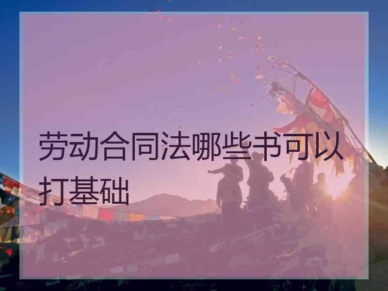 劳动合同法哪些书可以打基础