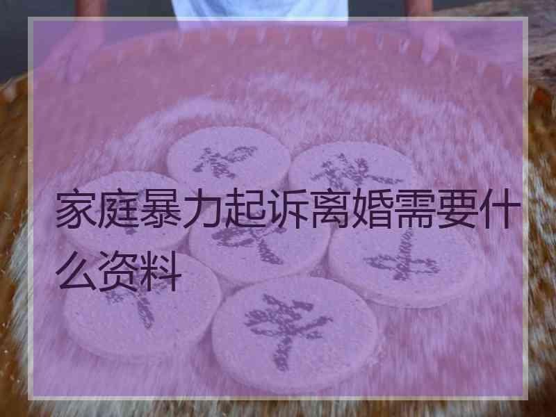 家庭暴力起诉离婚需要什么资料