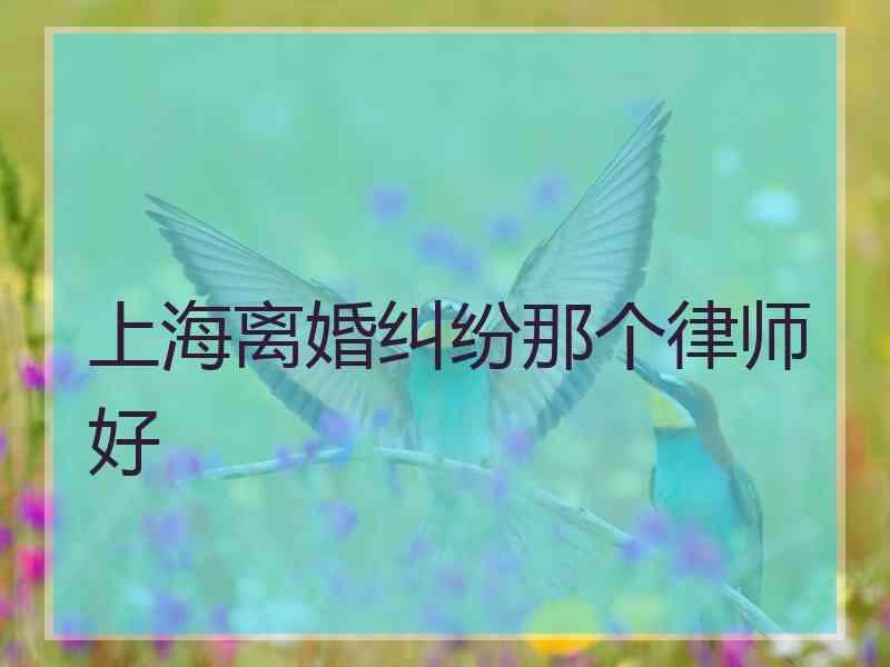 上海离婚纠纷那个律师好