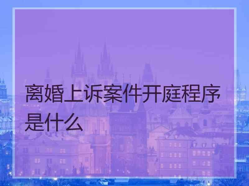 离婚上诉案件开庭程序是什么