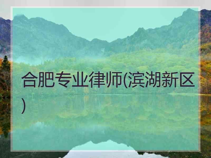 合肥专业律师(滨湖新区)