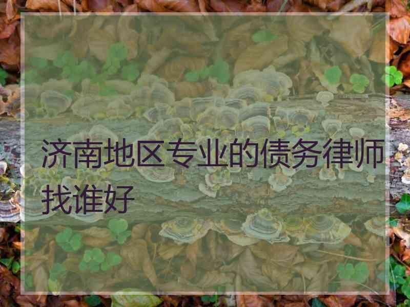 济南地区专业的债务律师找谁好