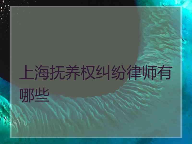 上海抚养权纠纷律师有哪些