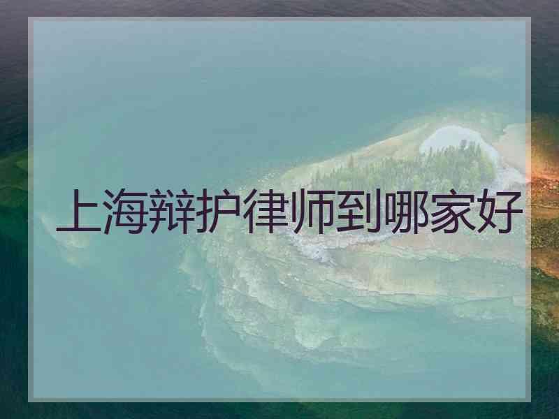 上海辩护律师到哪家好