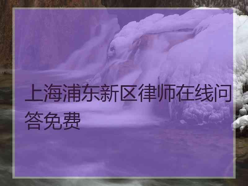 上海浦东新区律师在线问答免费