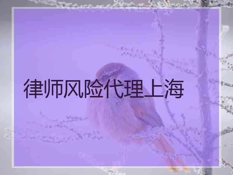 律师风险代理上海