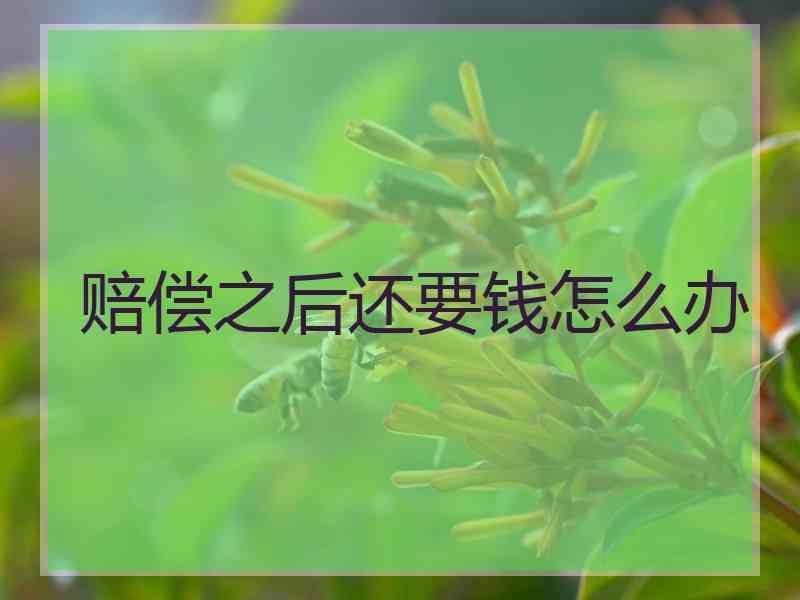 赔偿之后还要钱怎么办