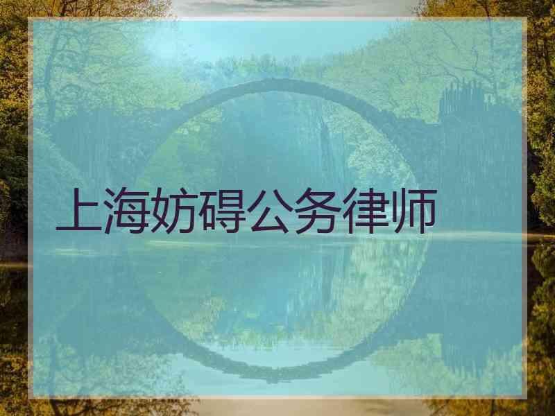 上海妨碍公务律师