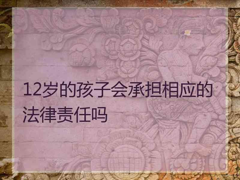 12岁的孩子会承担相应的法律责任吗