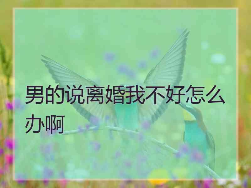 男的说离婚我不好怎么办啊