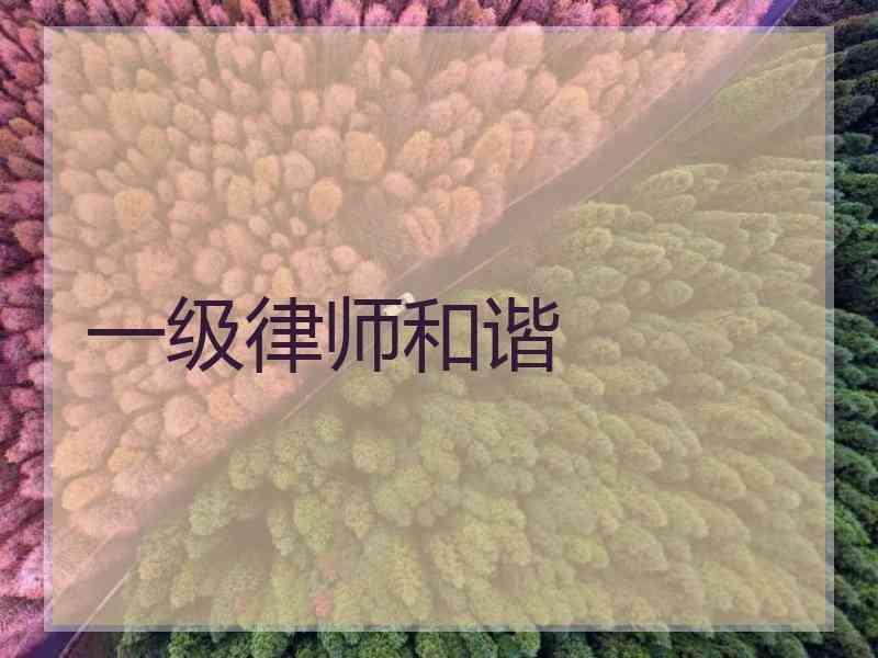 一级律师和谐