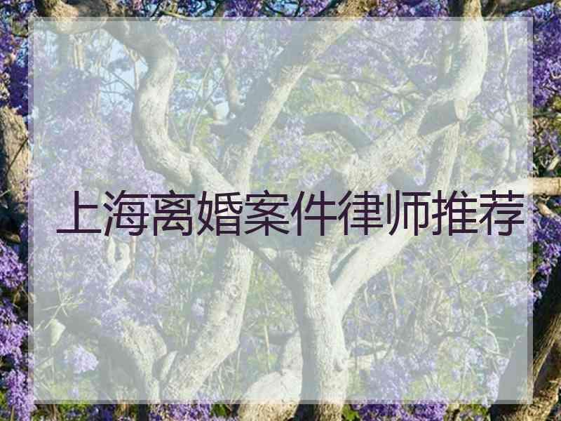 上海离婚案件律师推荐