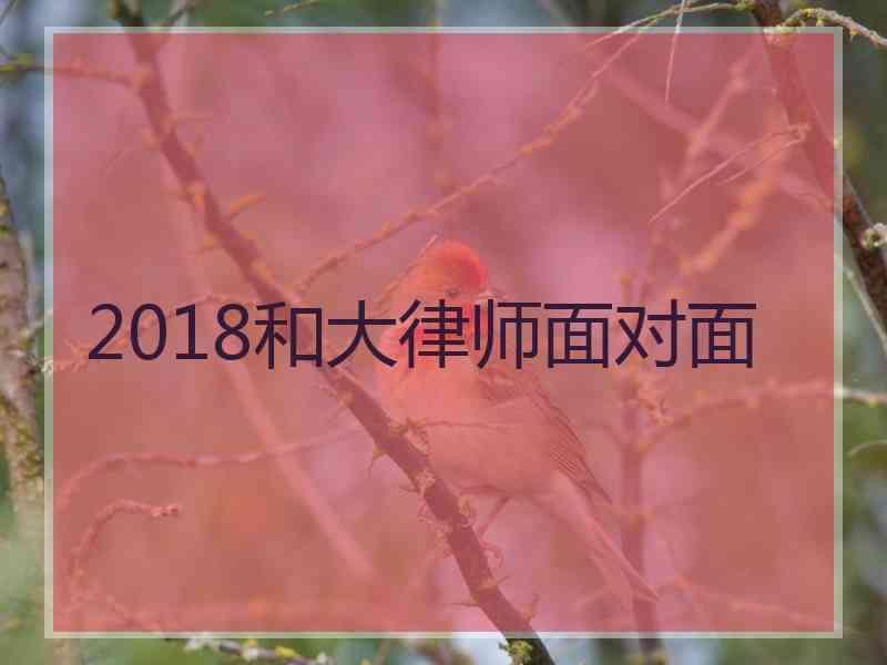 2018和大律师面对面