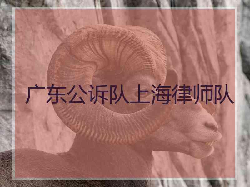 广东公诉队上海律师队