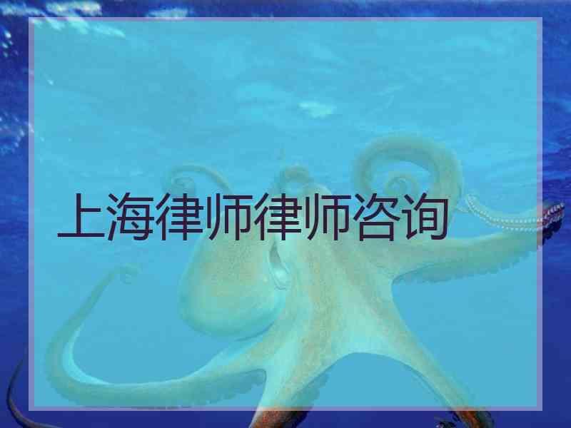 上海律师律师咨询