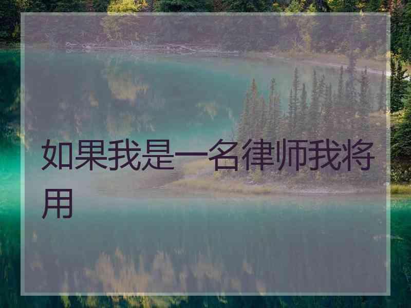 如果我是一名律师我将用