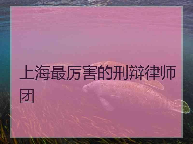 上海最厉害的刑辩律师团