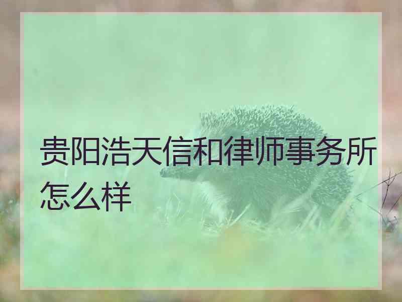 贵阳浩天信和律师事务所怎么样