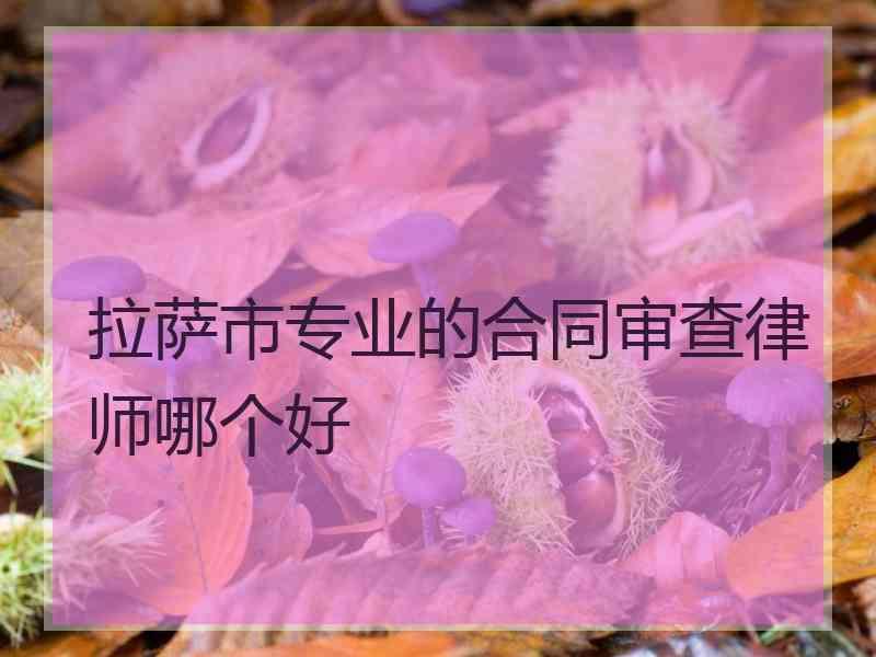 拉萨市专业的合同审查律师哪个好