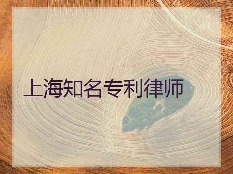 上海知名专利律师